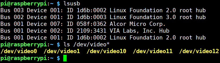 ls /dev/video*